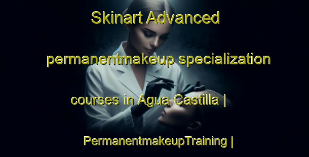 Skinart Advanced permanentmakeup specialization courses in Agua Castilla | PermanentmakeupTraining | PermanentmakeupClasses | SkinartTraining-Bolivia